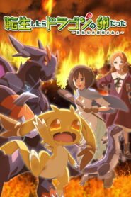 転生したらドラゴンの卵だった～最強以外目指さねぇ～