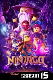 كرتون نينجاجو أبطال السبينجيتسو الموسم 16 بجودة 1080