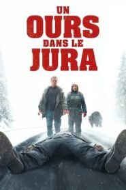 Un ours dans le Jura 2025