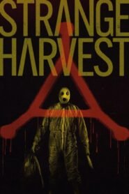 Strange Harvest 2025