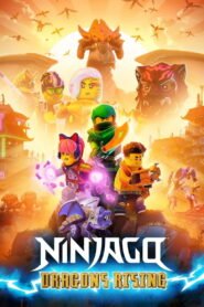 LEGO Ninjago: Dragons Rising: Season 1