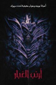 أرنب الغبار 2025