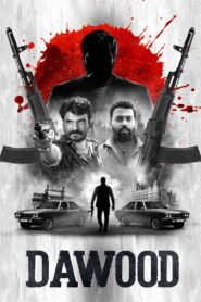 தாவூத் 2025