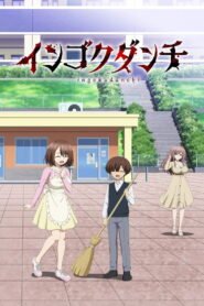 インゴクダンチ 2026